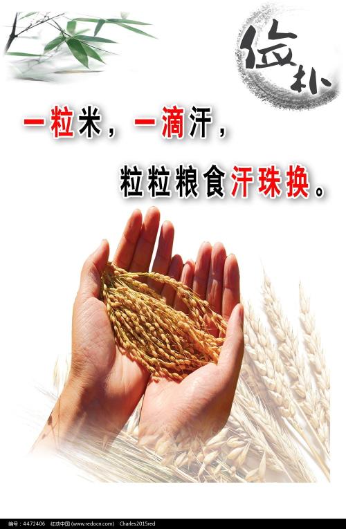 黑龙江高中毕业证图片2000年的
